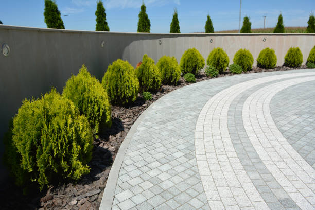 Best Residential Driveway Paver Services  in Pleasant Hill, MO